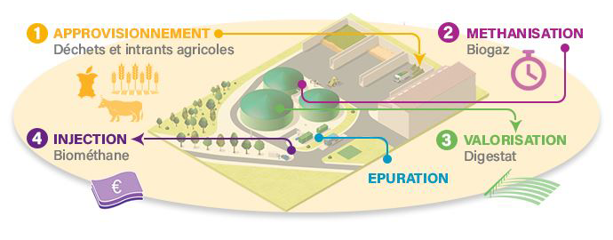 schéma méthanisation Biogaz Dunois - méthanisation agricole