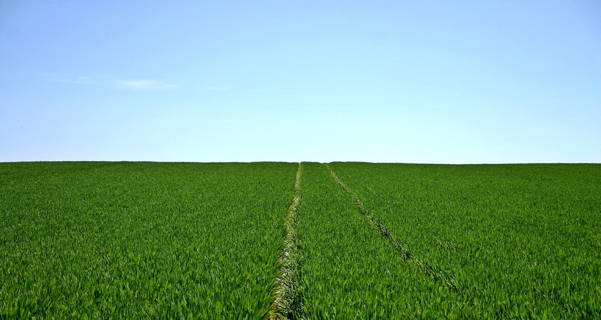 fond champ vert Biogaz Dunois - méthanisation agricole