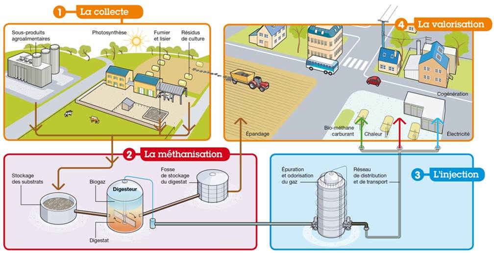 schéma descriptif d'une unité de méthanisation agricole en injection Biogaz Dunois - méthanisation agricole