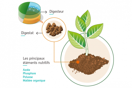 schéma digestat Biogaz Dunois - méthanisation agricole